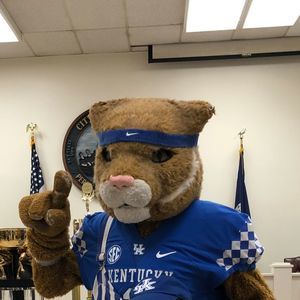 Meet your Posher, Ollie